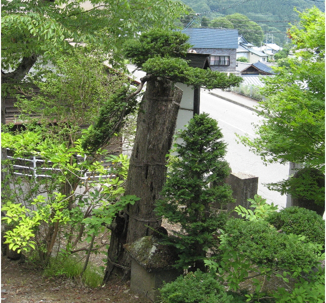 長野県　きなさ　写真　神社