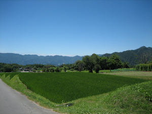 0801natu1.jpg