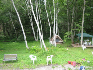 0809niwa1.jpg