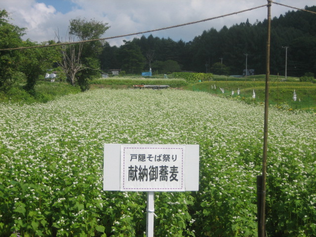 0827soba.JPG