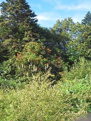 20120925-01.jpg