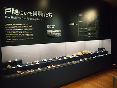 第２展示室